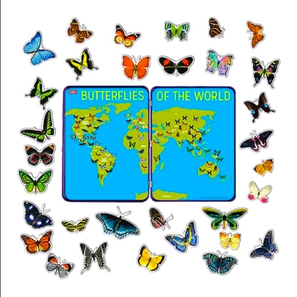 Butterflies of the World Magnets Tin S.T.E.M. - Picture 3 of 7